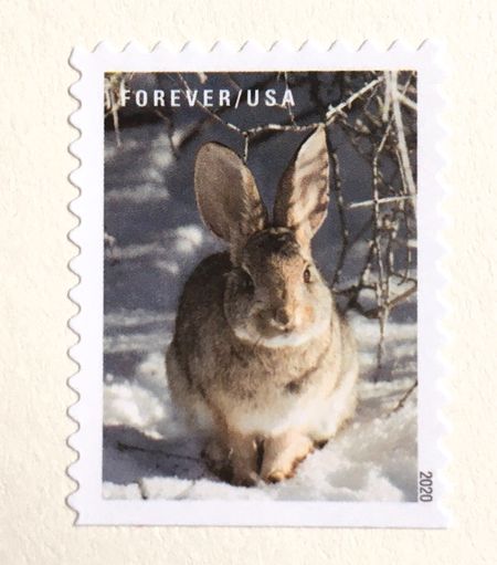 100 Bunny Forever Stamps Rabbit Postage Unused Stamps For Mailing